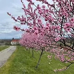 Winzerlodge, Burgunder Gleiszellen-Gleishorbach