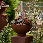 Apartman Winzerlodge, Burgunder Gleiszellen-Gleishorbach