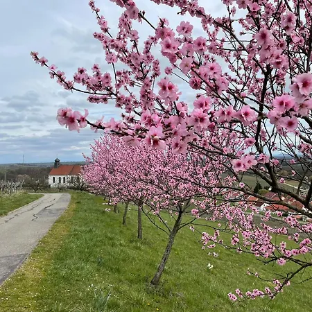 Winzerlodge, Burgunder Gleiszellen-Gleishorbach