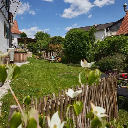 Winzerlodge, Burgunder *