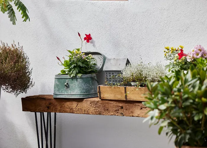 Winzerlodge, Burgunder Apartamento