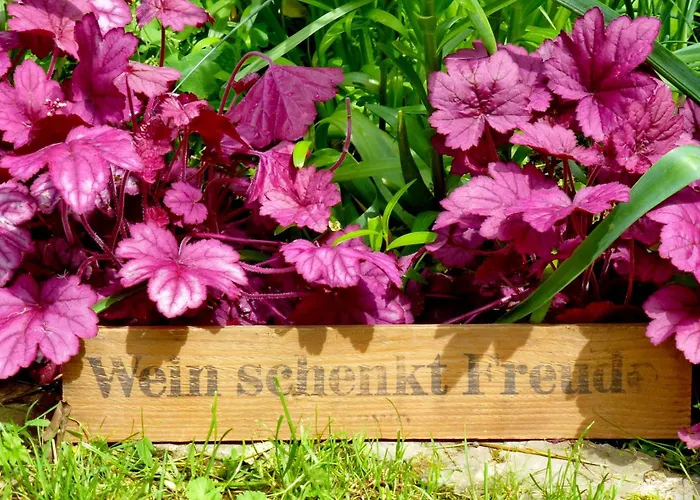 Winzerlodge, Burgunder Apartamento *