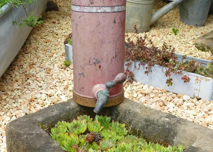 Winzerlodge, Burgunder *