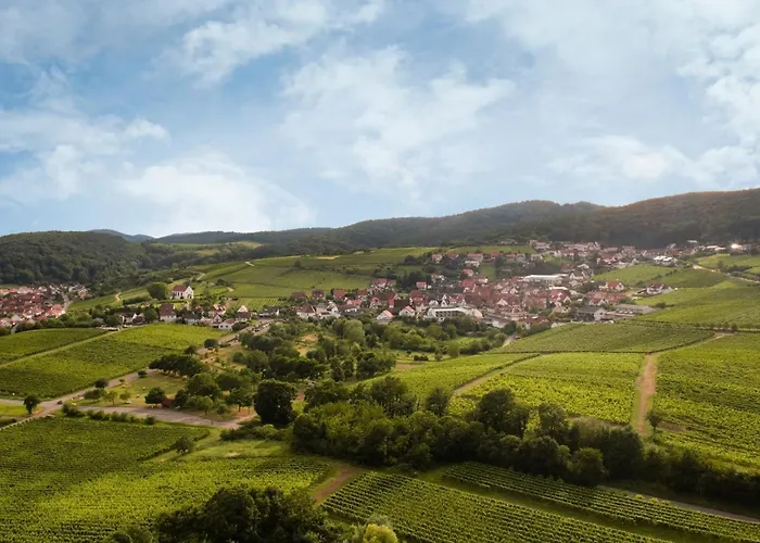 Winzerlodge, Burgunder *