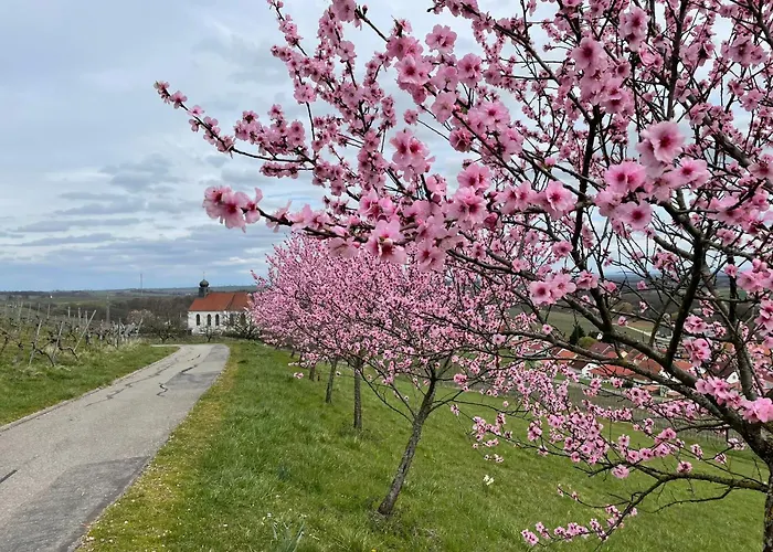 Winzerlodge, Burgunder Gleiszellen-Gleishorbach